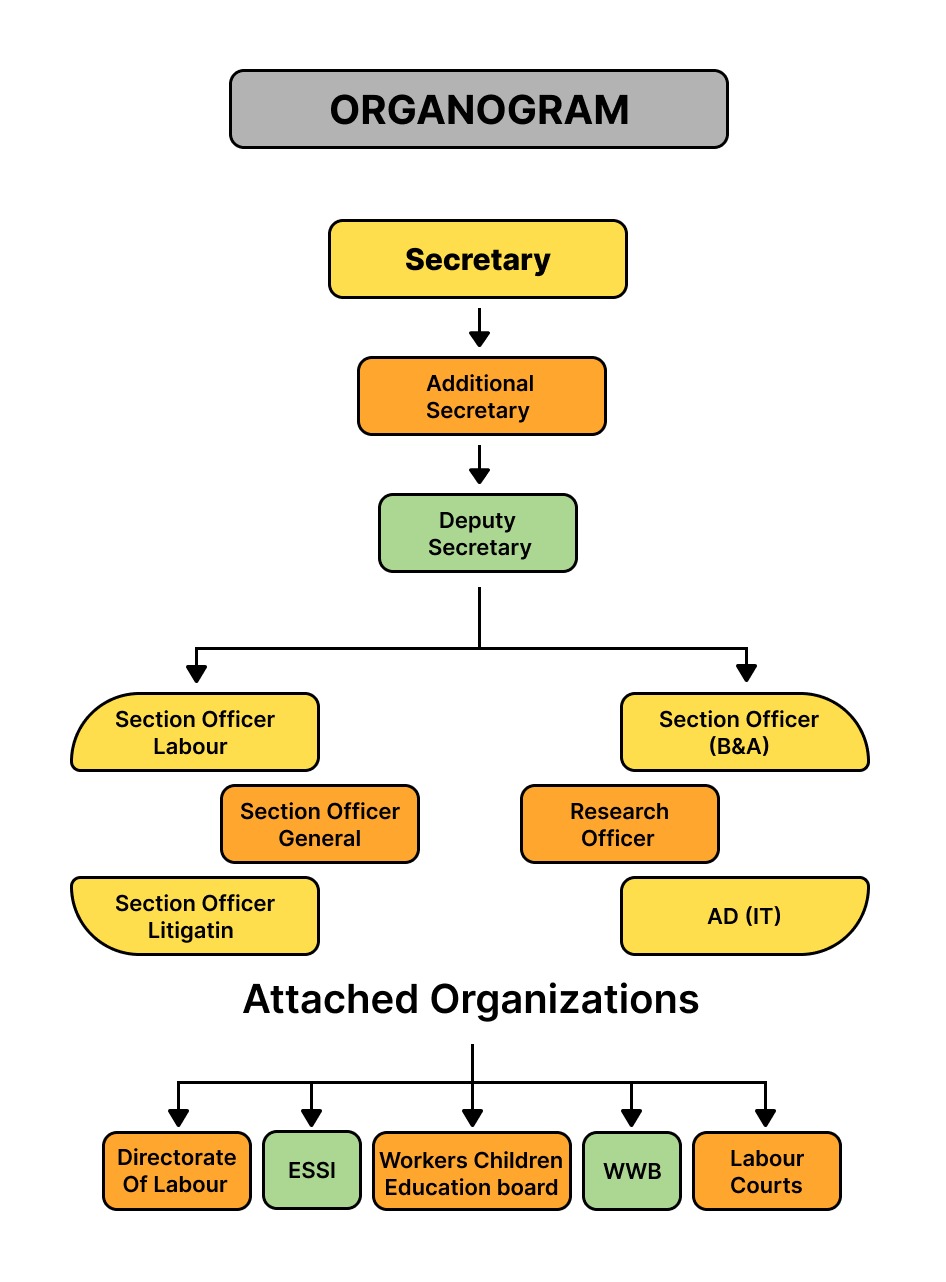Service Image